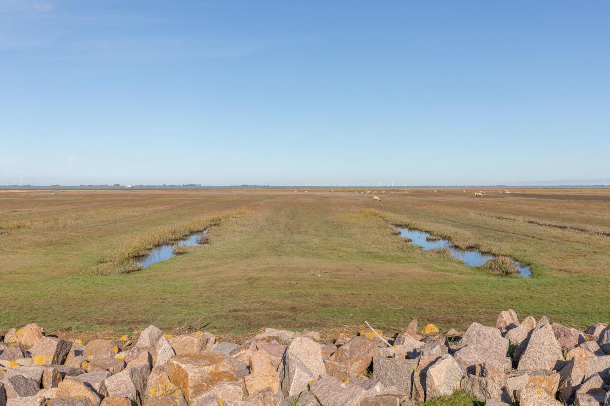 Wattenmeer Simonsberg Kültér fotó